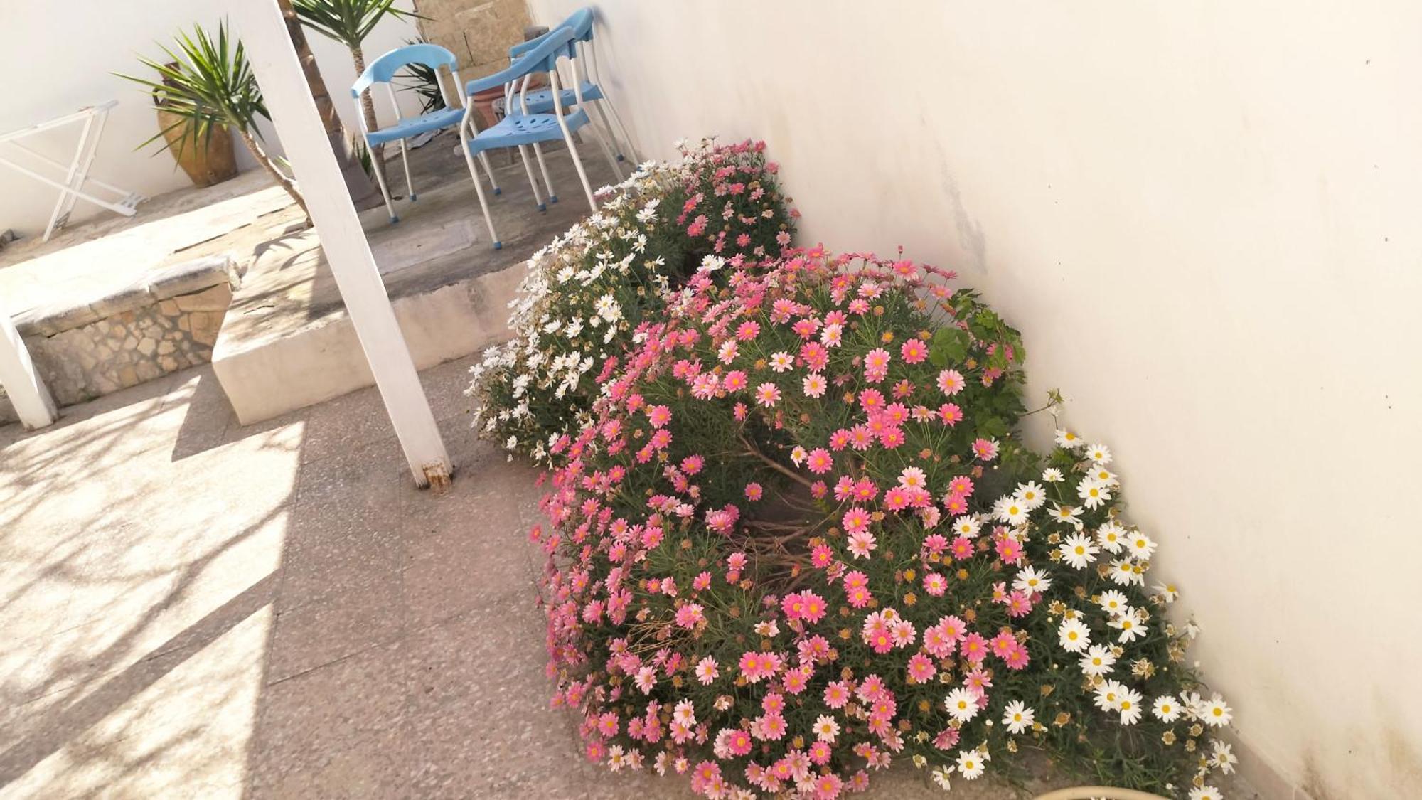 Casa Antonio E Nicoletta Vila Porto Cesareo Exterior foto